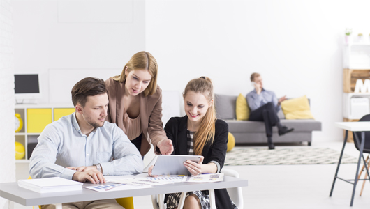 Real Estate Developers